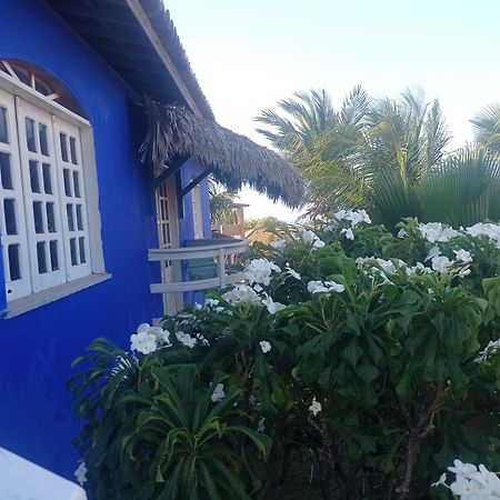 Charming Blue House With Kitchen Parking And Garden Βίλα Canoa Quebrada Εξωτερικό φωτογραφία