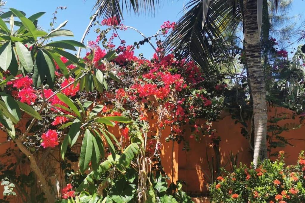 Charming Blue House With Kitchen Parking And Garden Βίλα Canoa Quebrada Εξωτερικό φωτογραφία