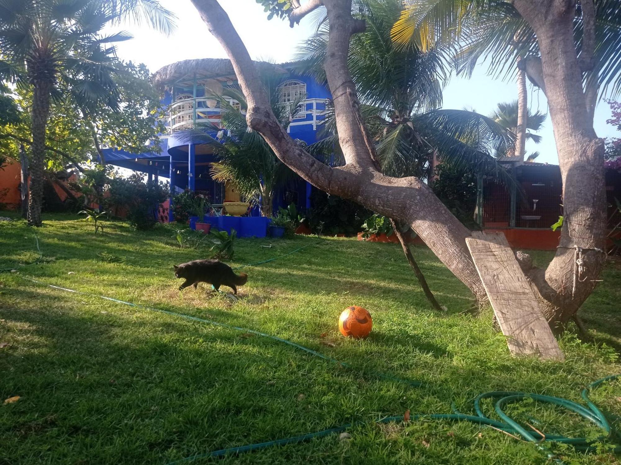 Charming Blue House With Kitchen Parking And Garden Βίλα Canoa Quebrada Εξωτερικό φωτογραφία